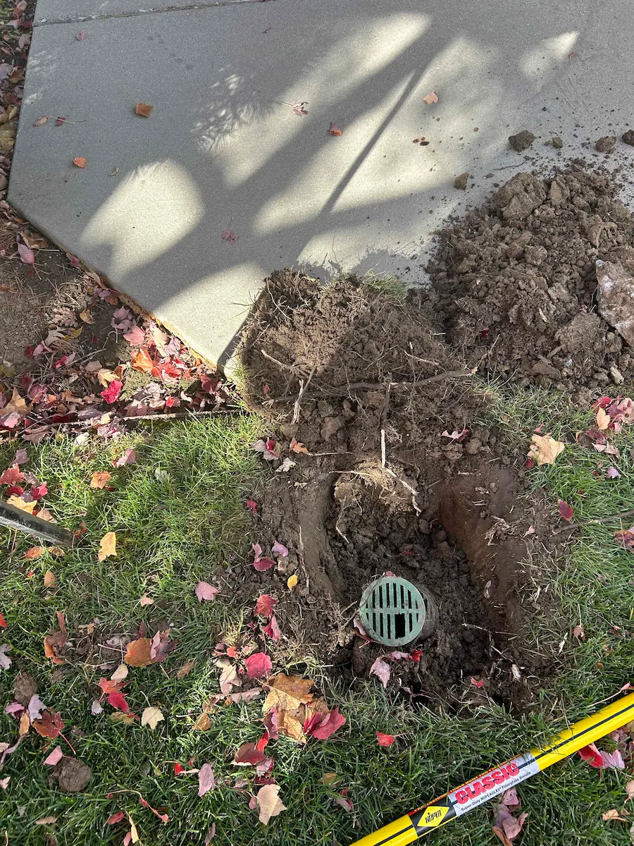 Secondary Inspection