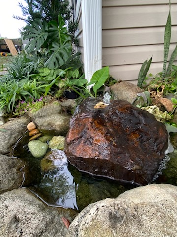 Water Feature Maintenance