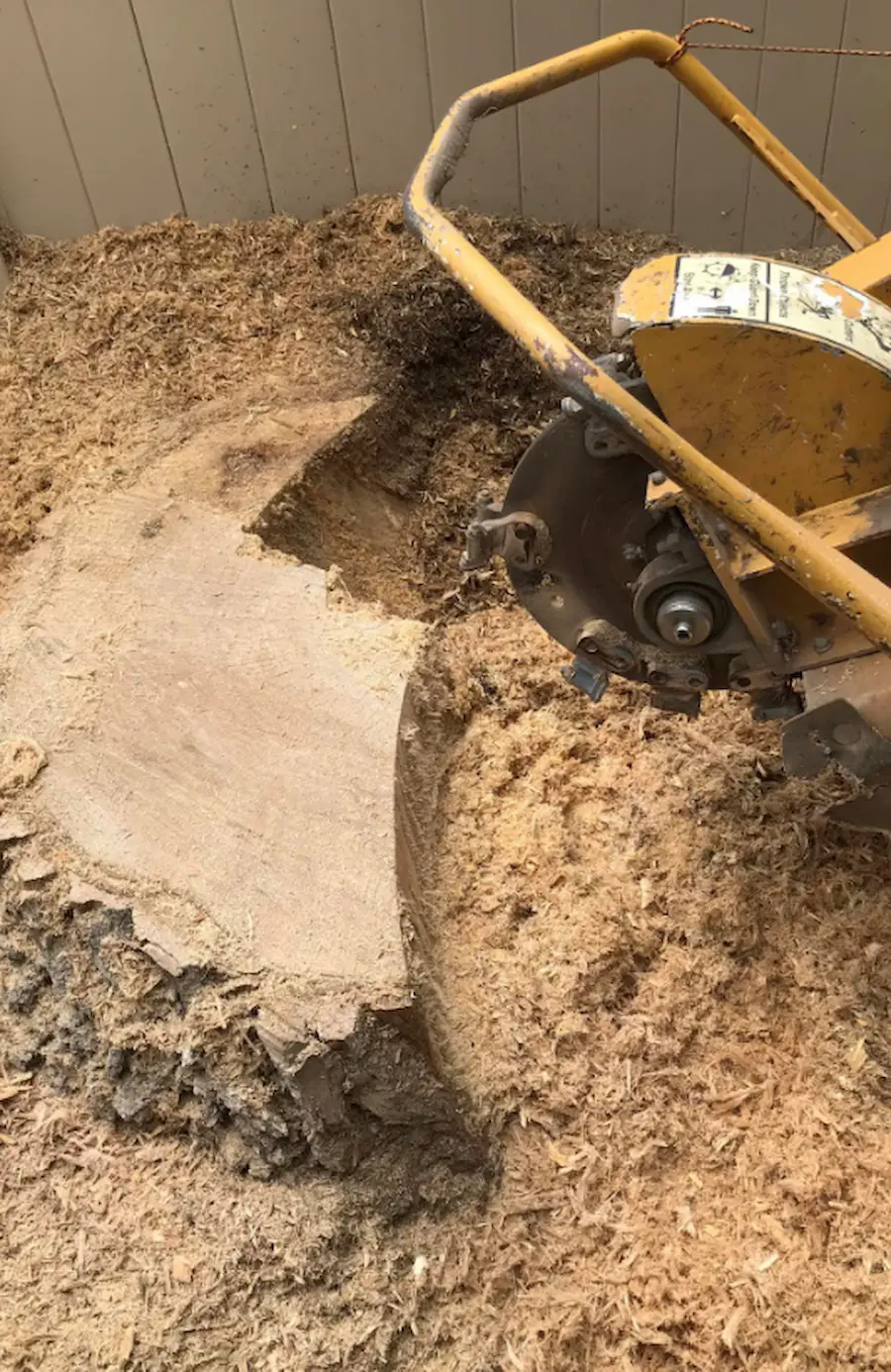 Tree Pruning Project 3