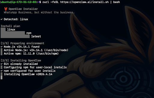 OpenClaw Install 1